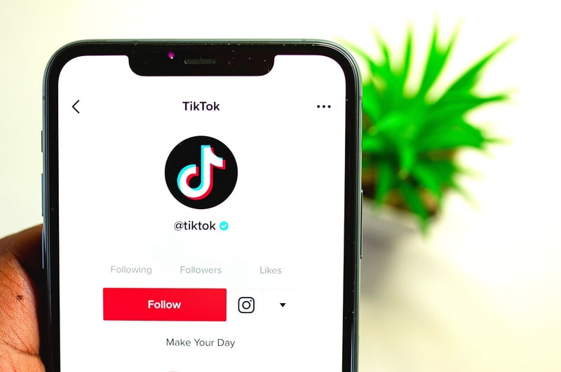 TikTok Trends